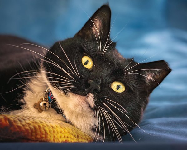 Rafforza il tuo recupero muscolare: nutrienti essenziali per atleti di endurance svelati!